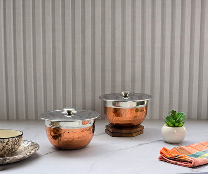 JISCOVERY Stainless Steel Medium Serving Bowl Set of 2 with Lid | Dinner Table Serving Bowls