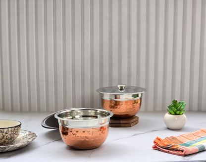 JISCOVERY Stainless Steel Medium Serving Bowl Set of 2 with Lid | Dinner Table Serving Bowls