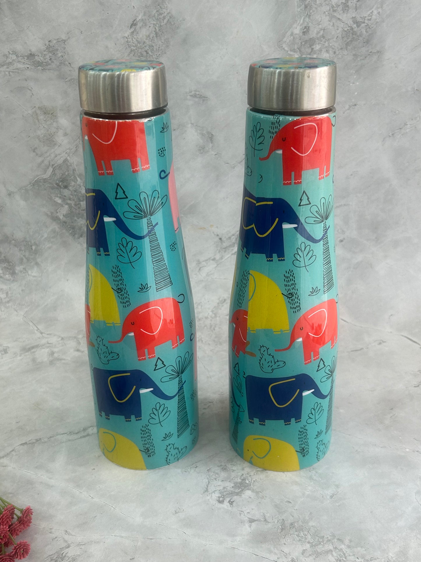 JISCOVERY Stainless Steel Water bottle Set of 2